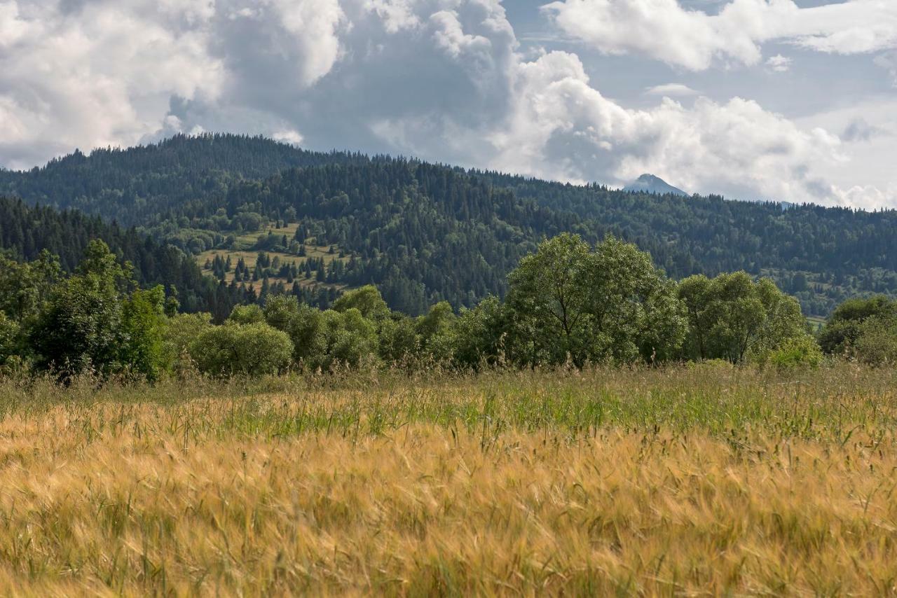 Domki U Kromki Kacwin Exteriör bild